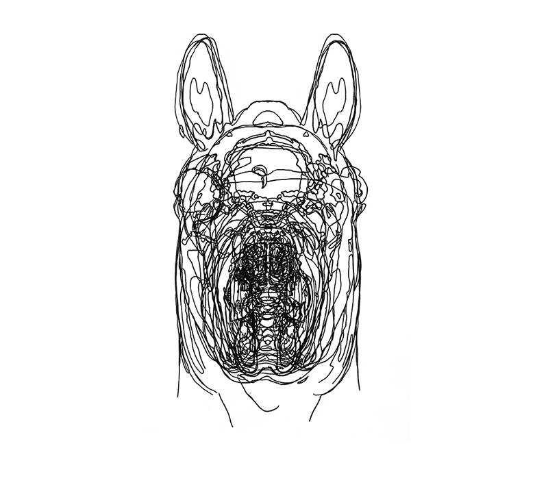 horsehead, CT horse head drawing