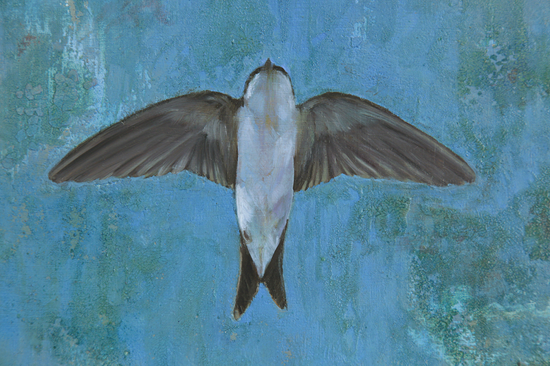 oil painting on wood, swallow, craquelé, craquelure, mustererkennung